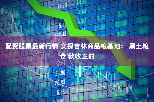 配资股票最新行情 实探吉林商品粮基地： 黑土粮仓 秋收正酣