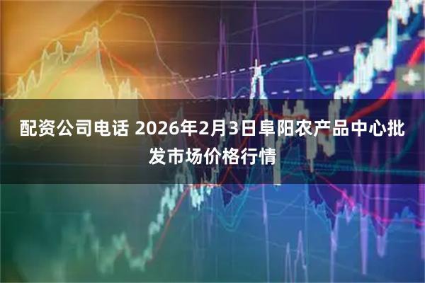 配资公司电话 2026年2月3日阜阳农产品中心批发市场价格行情
