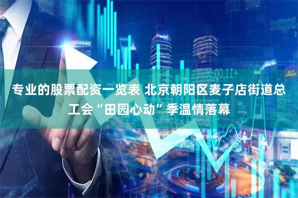 专业的股票配资一览表 北京朝阳区麦子店街道总工会“田园心动”季温情落幕